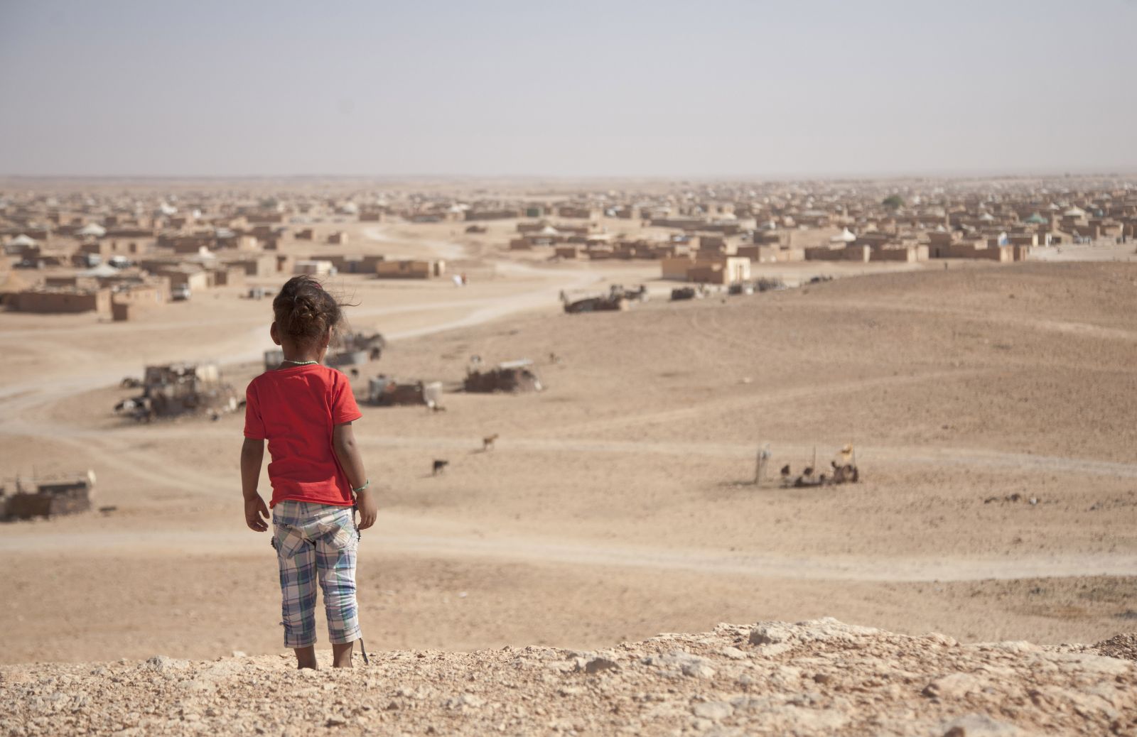 مجموعة دولية تدعو الأمم المتحدة لإطلاع صحراويي تندوف على خيارات ما بعد القرار 2797