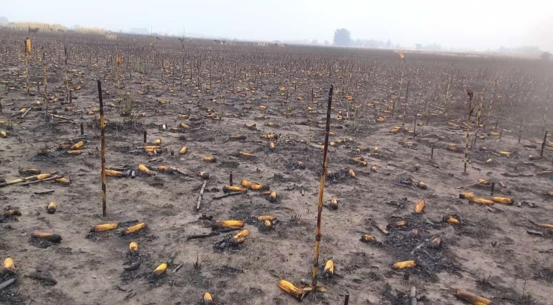 Los incendios en Corrientes dejan 300 mil hectáreas afectadas y denuncian la falta de ayuda del Gobierno