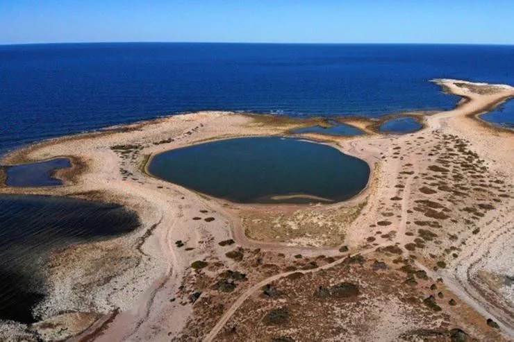 Crearon por ley el Parque Nacional Marino «Islote Lobos» en el Golfo San Matías