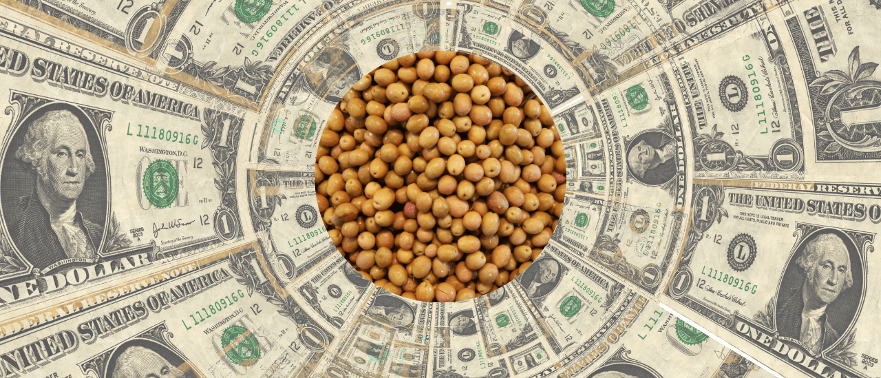 El «Dólar Soja» produjo récord de ventas del agro: ingresaron 3.564 millones de dólares