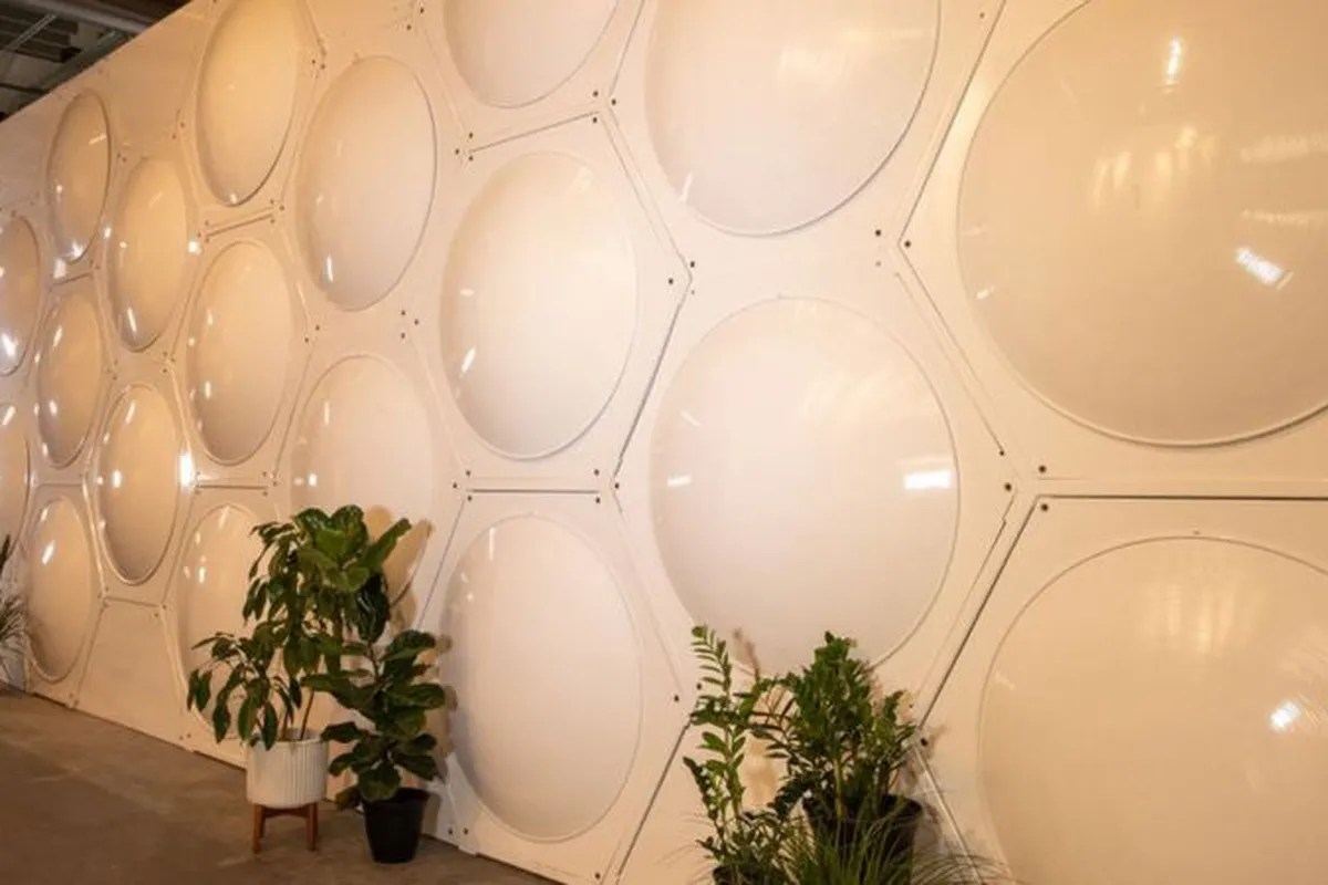 Compostaje con cuerpos humanos: Nueva York es el sexto estado en legalizar el procedimiento