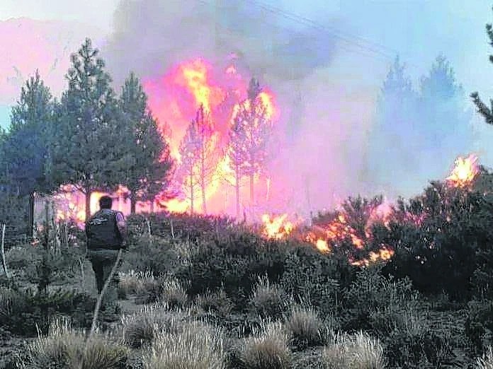 Ecoatentados: La Policía Federal investigará los incendios en la Cordillera de Chubut