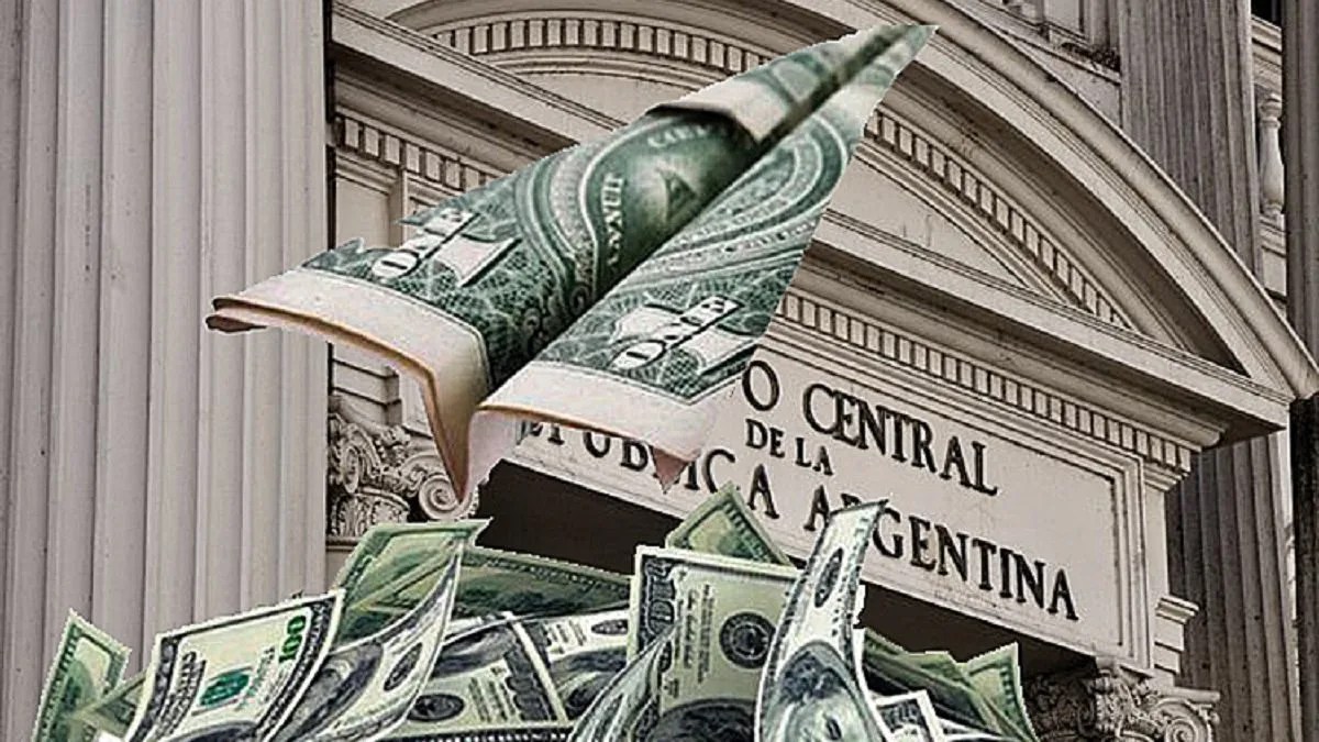 Reservas y dólares: Cuánto cayó el ingreso de divisas por inversión extranjera durante la actual gestión nacional