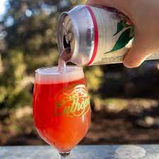 Caminos y Sabores: una cervecería de Trevelin se quedó con el premio a la «mejor rubia» del país