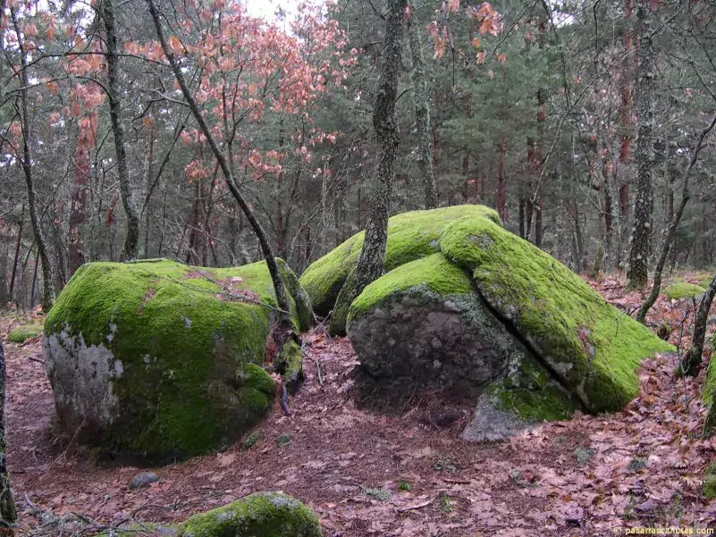 Medio Ambiente- La meteorización mejorada de rocas: qué es y como puede frenar el cambio climático