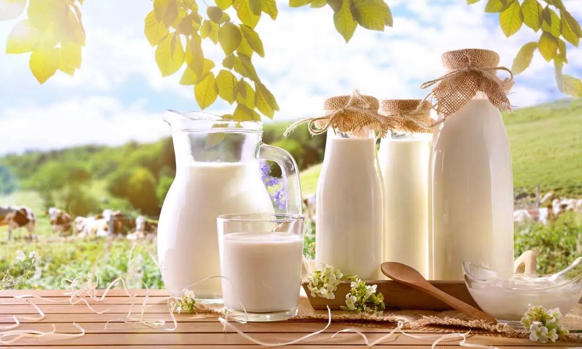 Día Mundial de la Leche: 7 de cada 10 argentinos reconocen su importancia nutricional