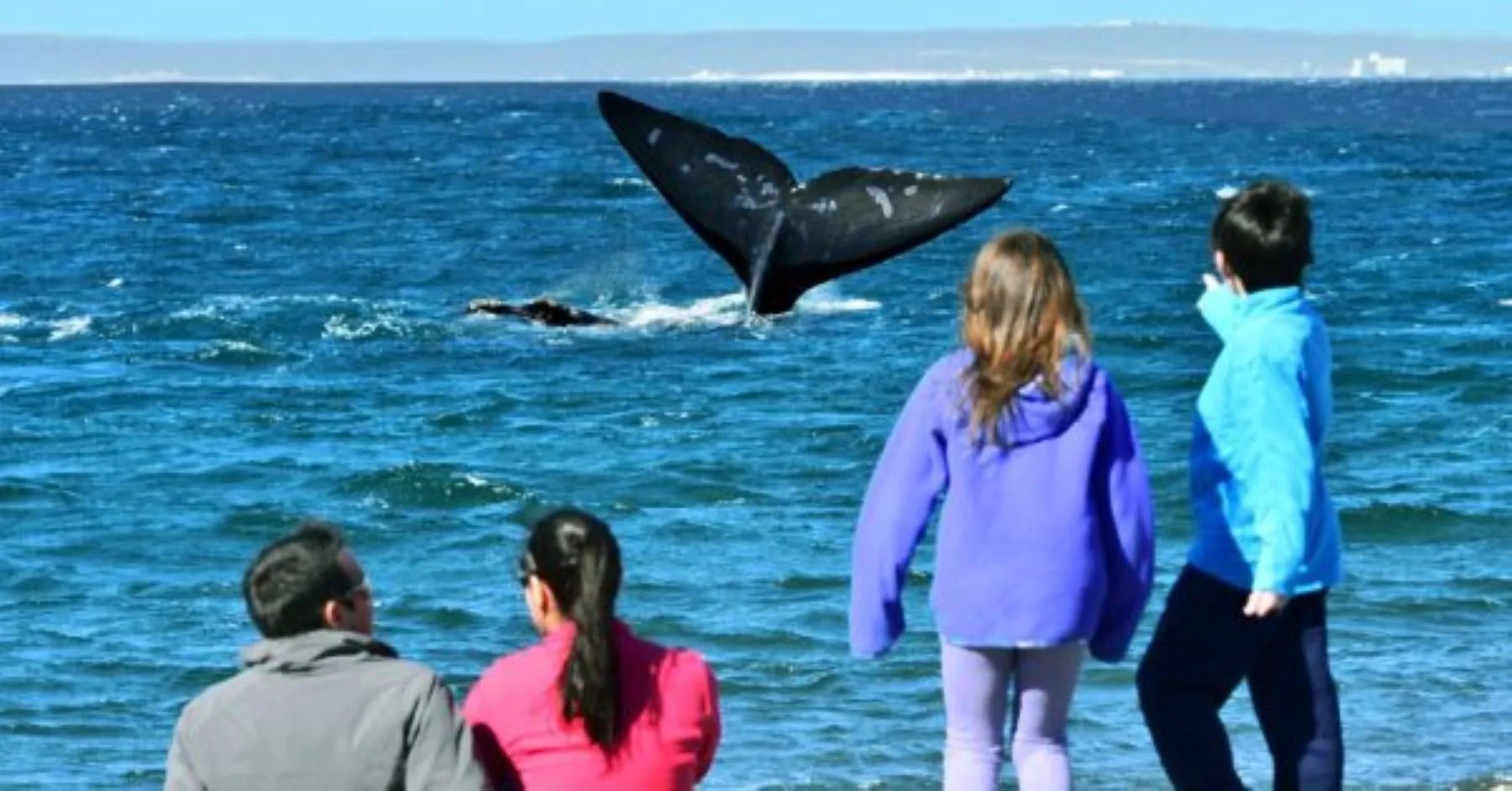 Escuela en la naturaleza- Pese al frío, más de 2 mil niños avistaron ballenas en el Doradillo
