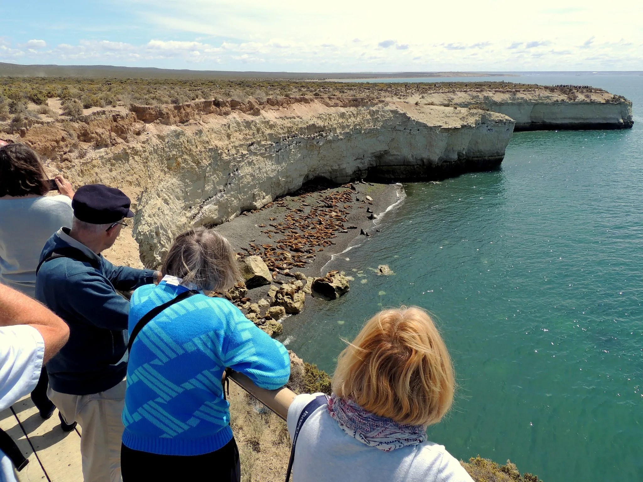 Madryn: se activa el plan conjunto para reposicionar la reserva de lobos marinos en Punta Loma