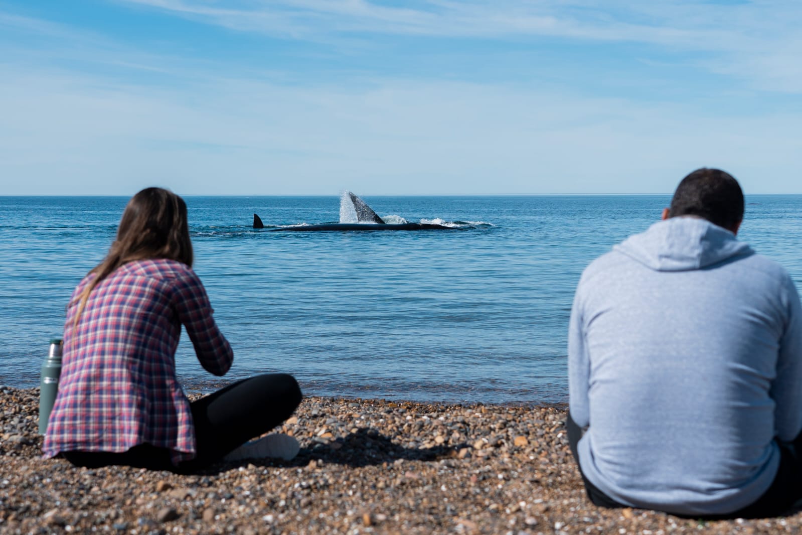 Mes del Turismo en Madryn: feria gastronómica, avistaje costero de ballenas y un paseo por naufragios
