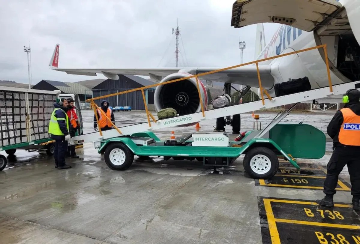 Aéreas: Las fuerzas de seguridad podrán brindar servicios aeroportuarios y de rampa en los aeropuertos
