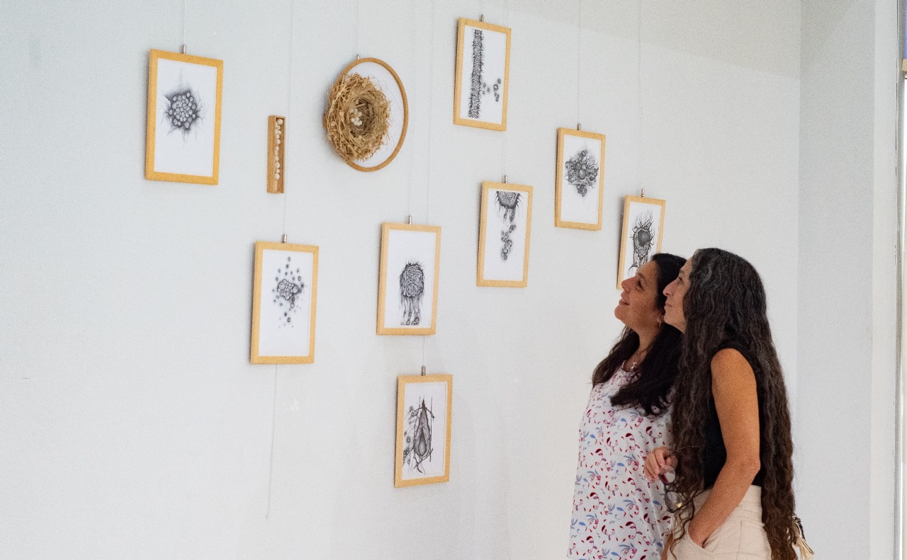 Dos muestras conmemorativas en el Mes de la Mujer en Rawson