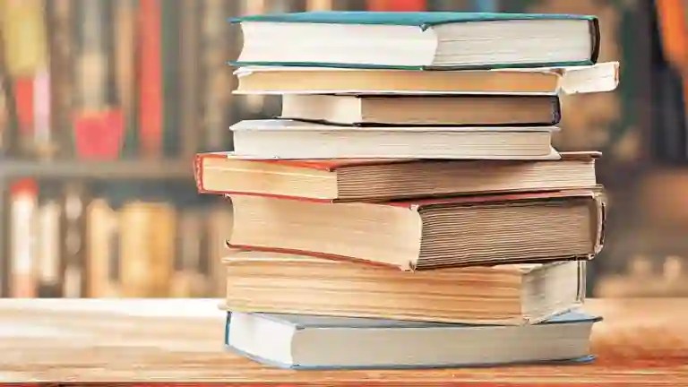 Feria del Libro independiente: este domingo desde las 15 en el Parador Municipal