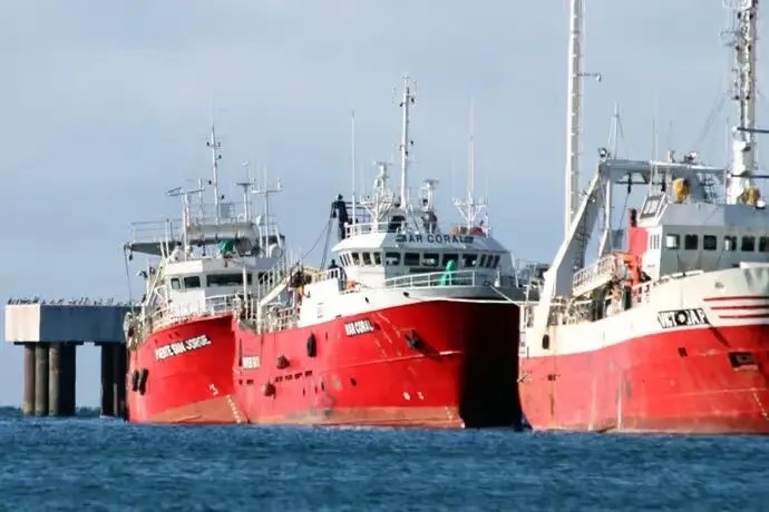 Pesca: Las Cámaras piden justificar inactividad por conflictos gremiales para no perder permisos de langostino