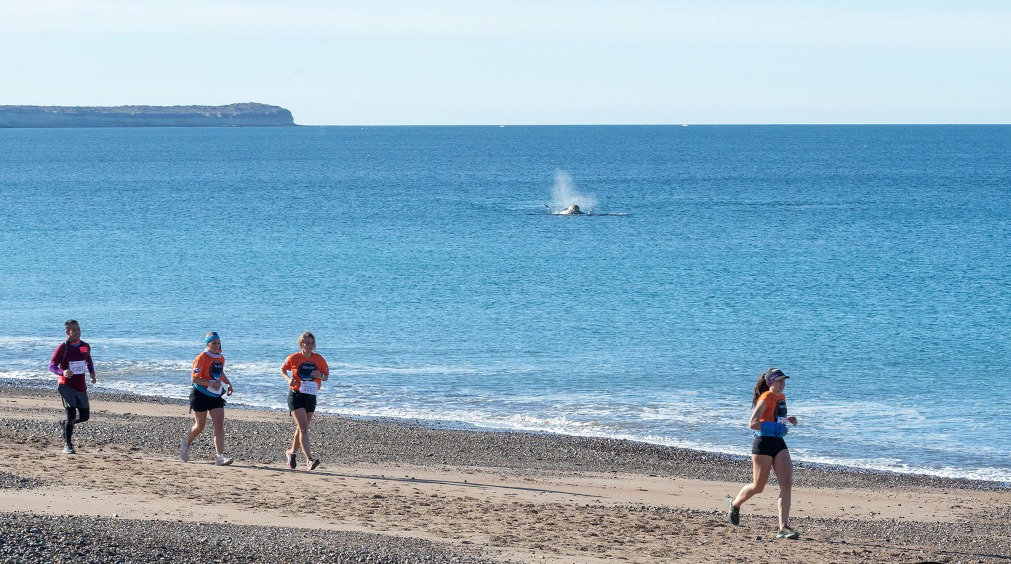 Carrera de Aventura Franca Austral: este domingo se corre en El Doradillo