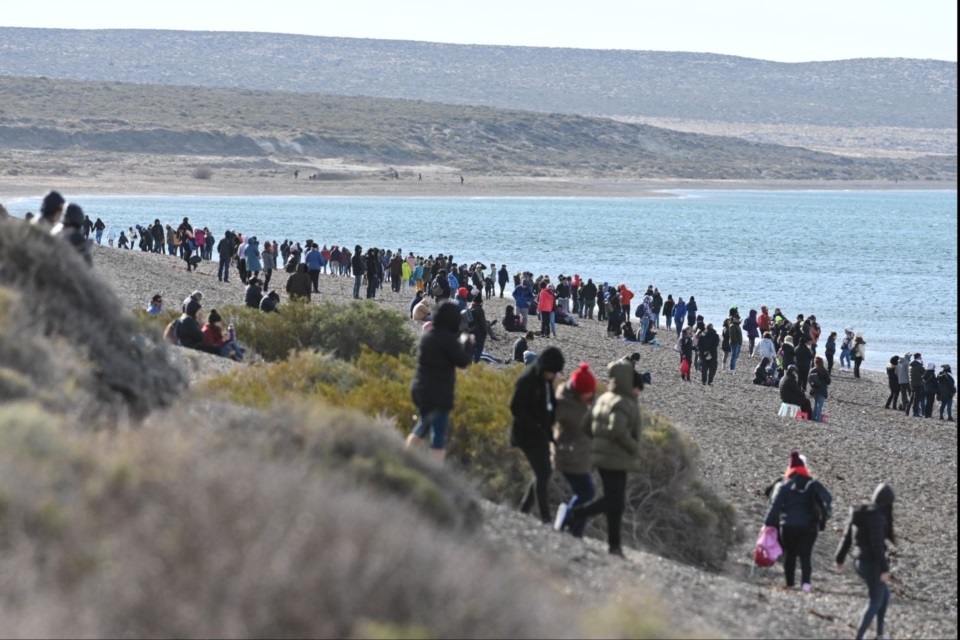 Madryn sostuvo una ocupación cercana al 60% el finde largo y mantiene promociones en Temporada de Ballenas