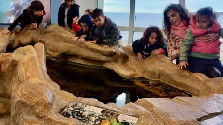 Finde con numerosas propuestas por el Día Nacional del Turismo en Madryn