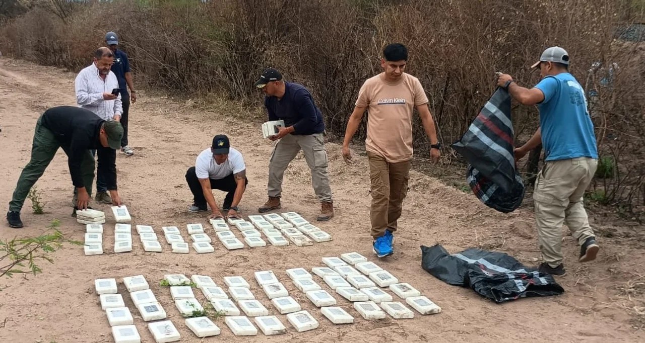 Cayó una avioneta en Salta con más de 300 kilos de cocaína: hay 4 detenidos