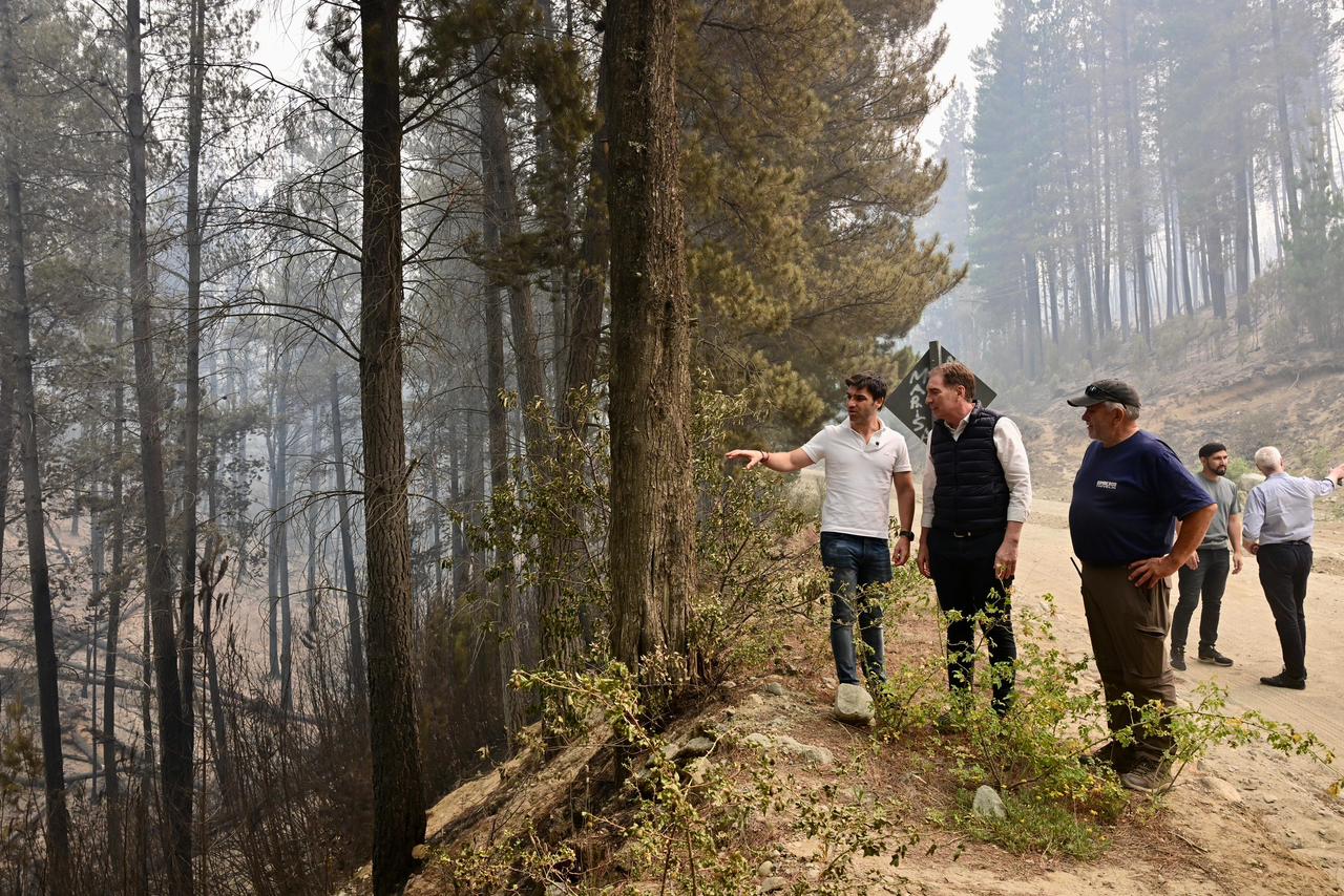 Santilli llegó con la Provincia en llamas: Ofrecen recompensa de $50 millones para dar con los responsables de los incendios