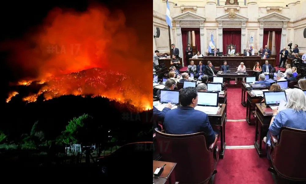 Se suma otro proyecto en el Congreso que solicita la declaración de emergencia ígnea en la Patagonia