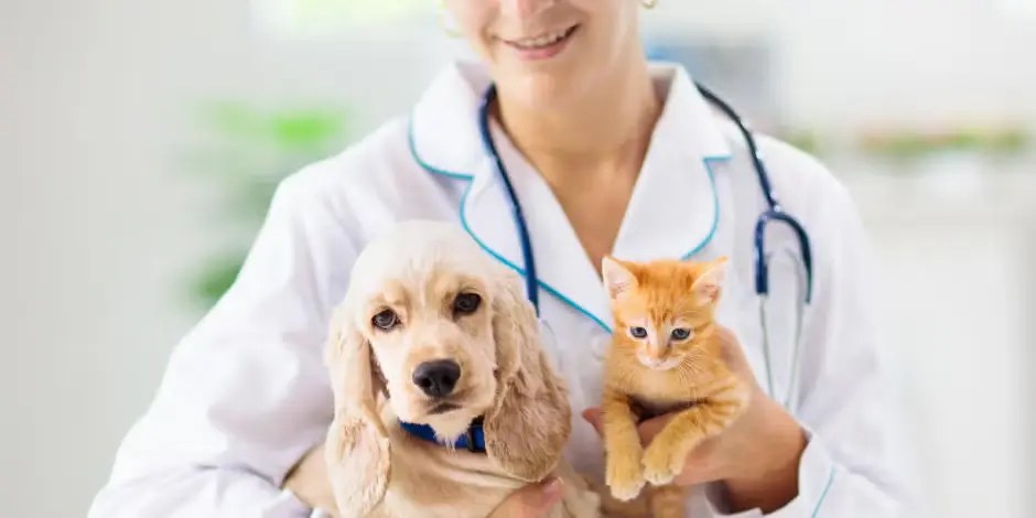 La prepaga OMINT incluirá coberturas para las mascotas