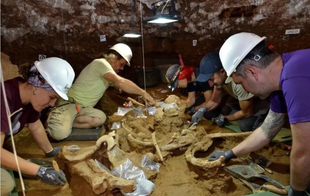 Una arqueóloga de Esquel fue parte del hallazgo mundial de dos rinocerontes de 200 mil años en España