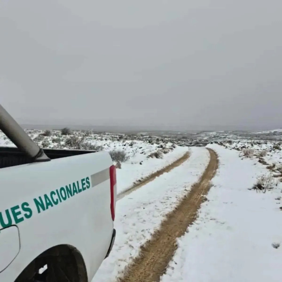 Siguen cerrados los Bosques Petrificados por las fuertes nevadas y los daños provocados por el hielo