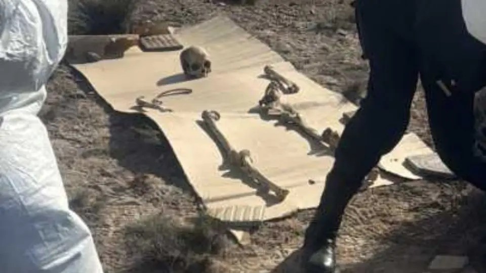 Madryn: Caminaba con su perro y encontró 125 piezas óseas
