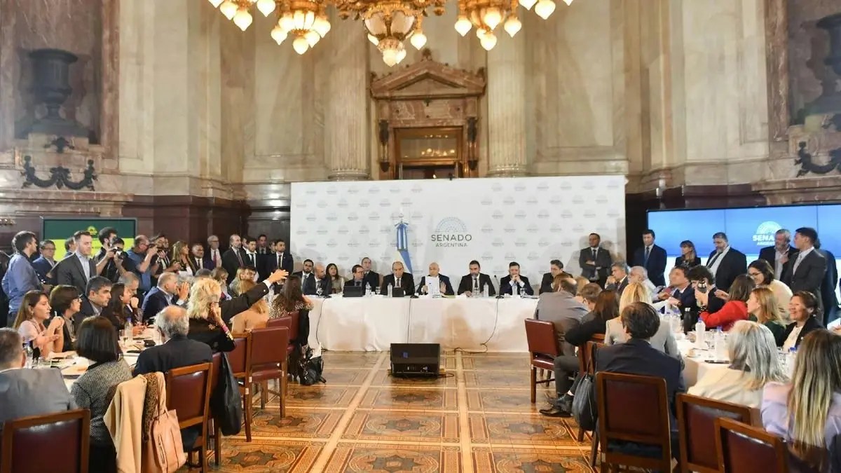 Senado: Se abre el debate sobre la reforma electoral y la eliminación de las PASO