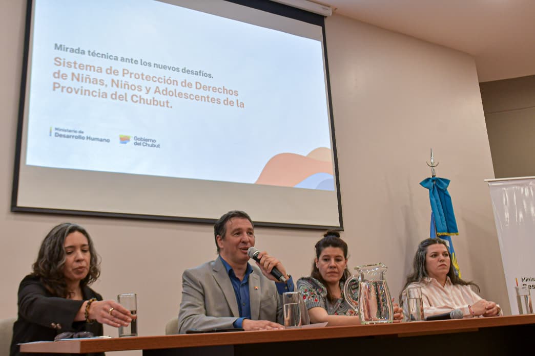 Crearon una oficina de Matriculación y el Registro de Profesionales de Niñez, Adolescencia y Familia en Chubut