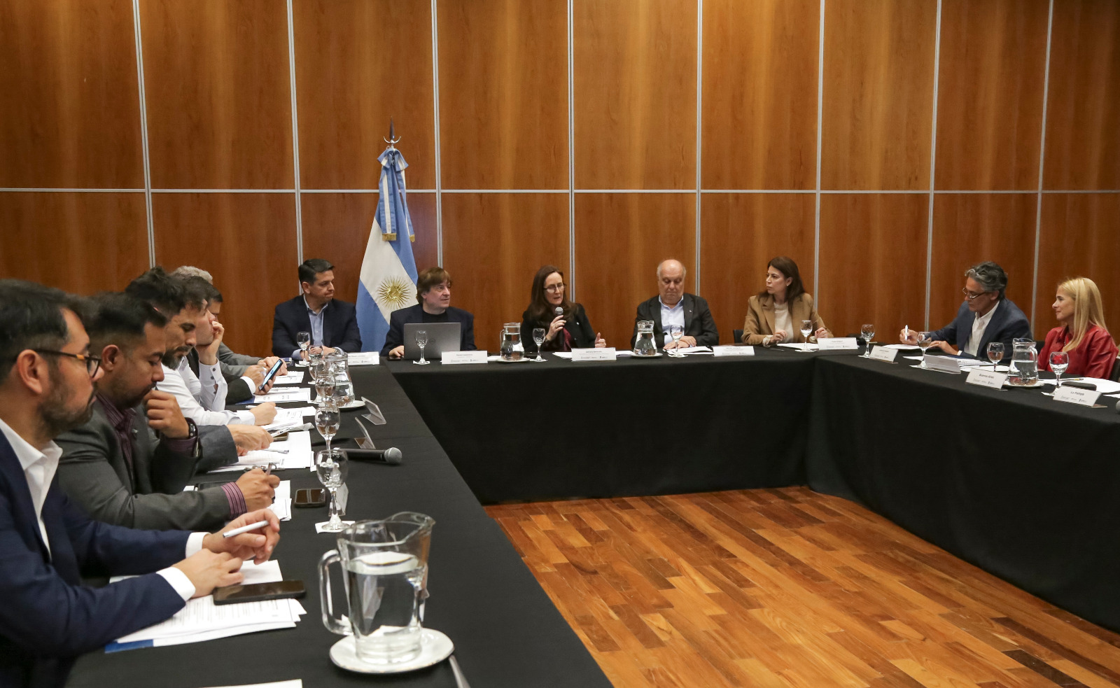 COFECyT: Chubut participó de la presentación de un nuevo programa de transferencia tecnológica