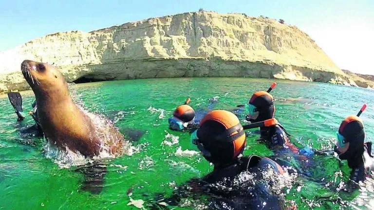 Celebran el Día Mundial de la Protección de la Naturaleza en Madryn