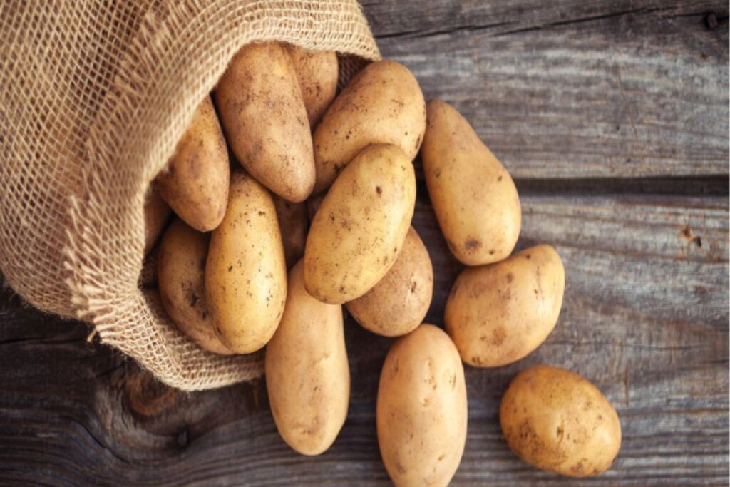 Fresh Pakistani potatoes for export
