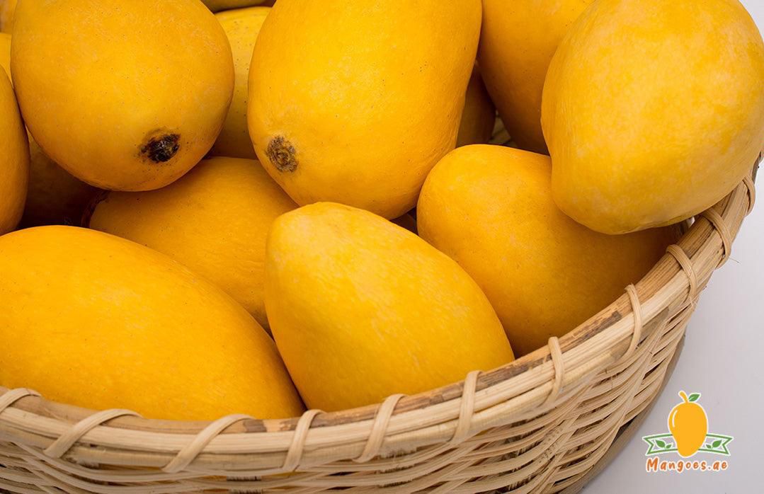Pakistani mangoes for wholesale export