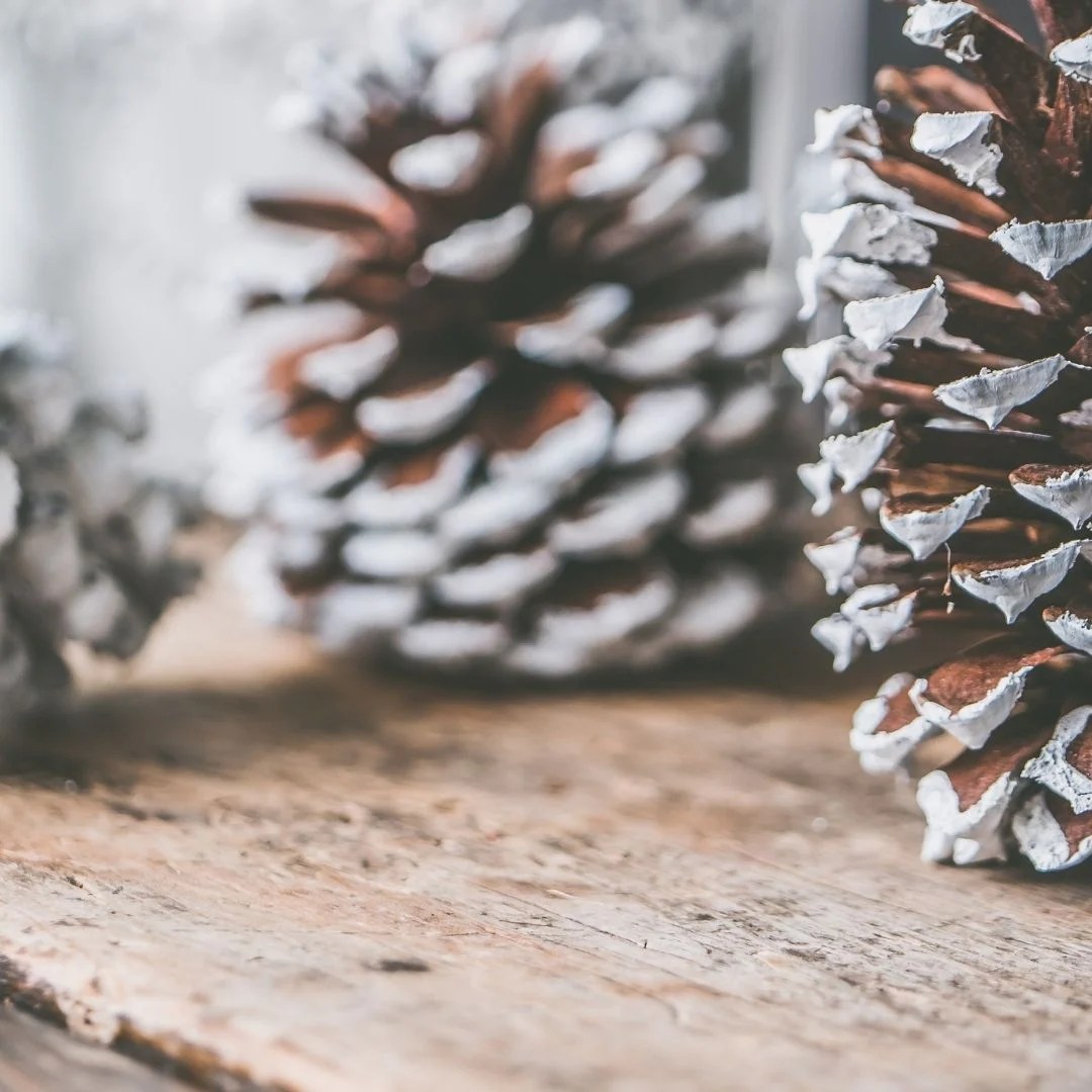 Navidad consciente o cómo vivir estas Fiestas de manera responsable