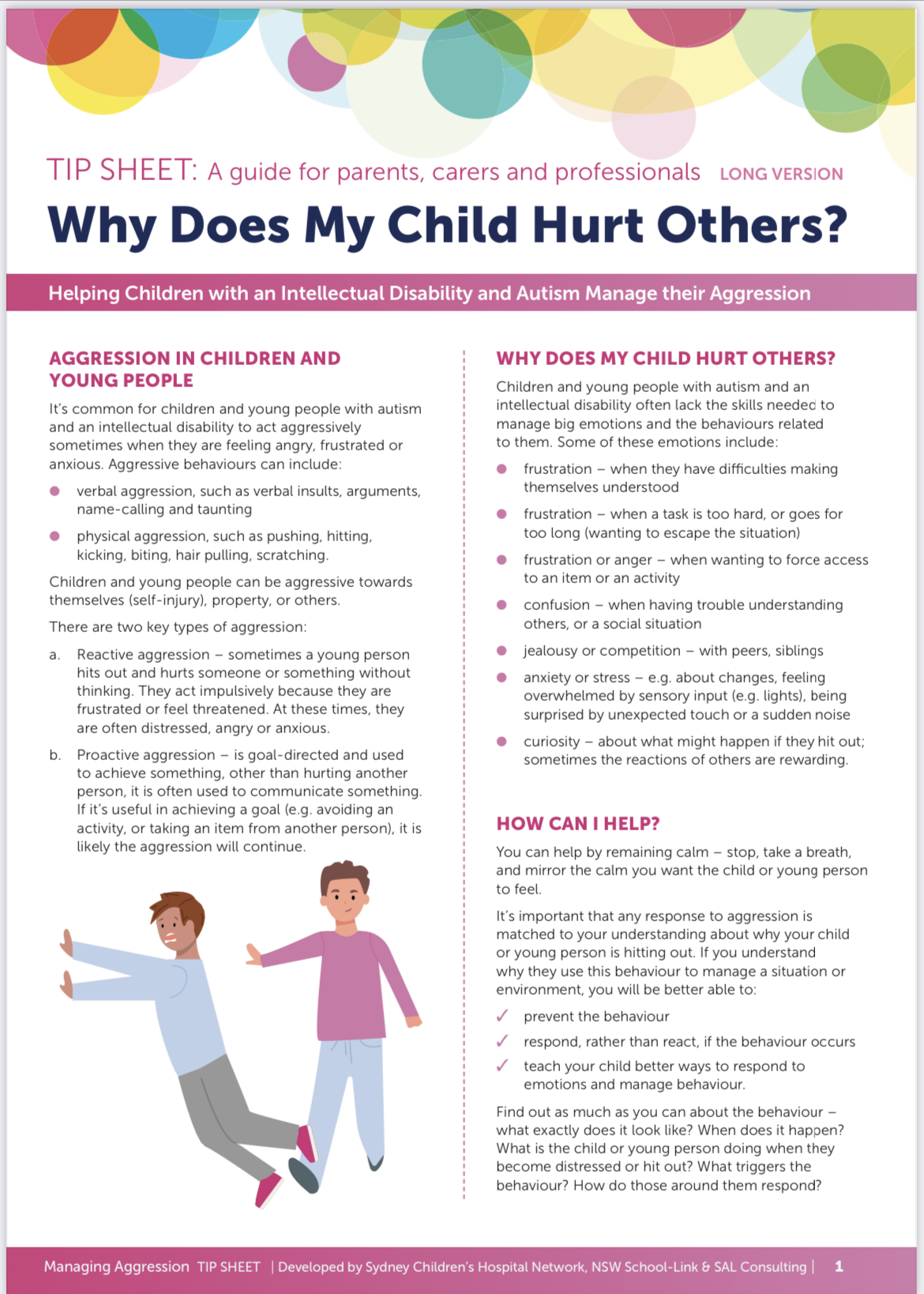 CHW School-Link - Aggression