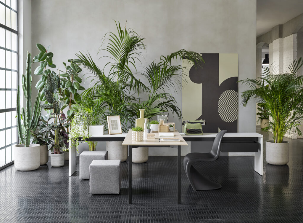 Office workstations by CI - Saudi Arabia
