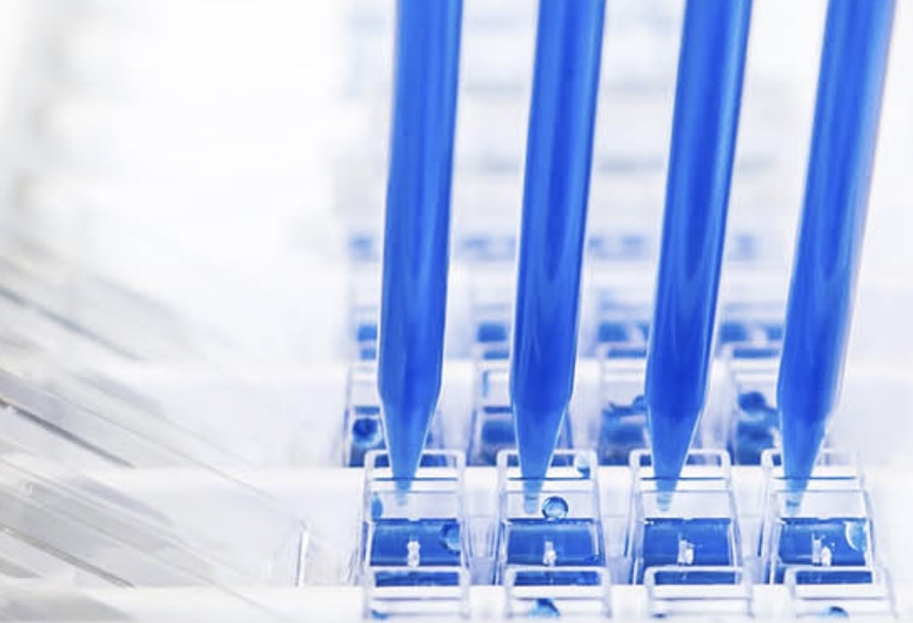 laboratory processing titer sample