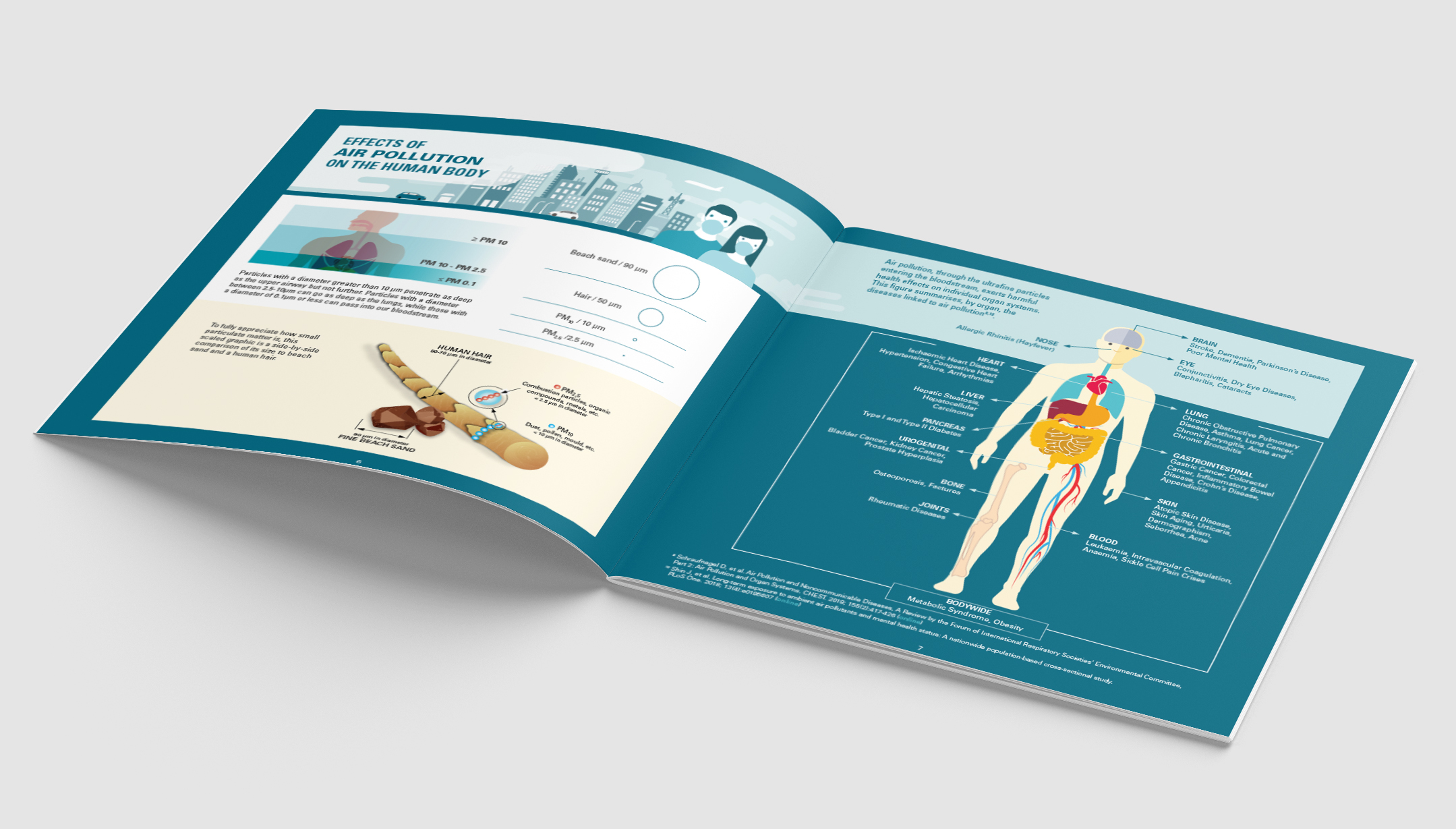 Completely free packaging mockups created in high resolution psd files. Our Right To Health Our Right To Clean Air Ciannetwork