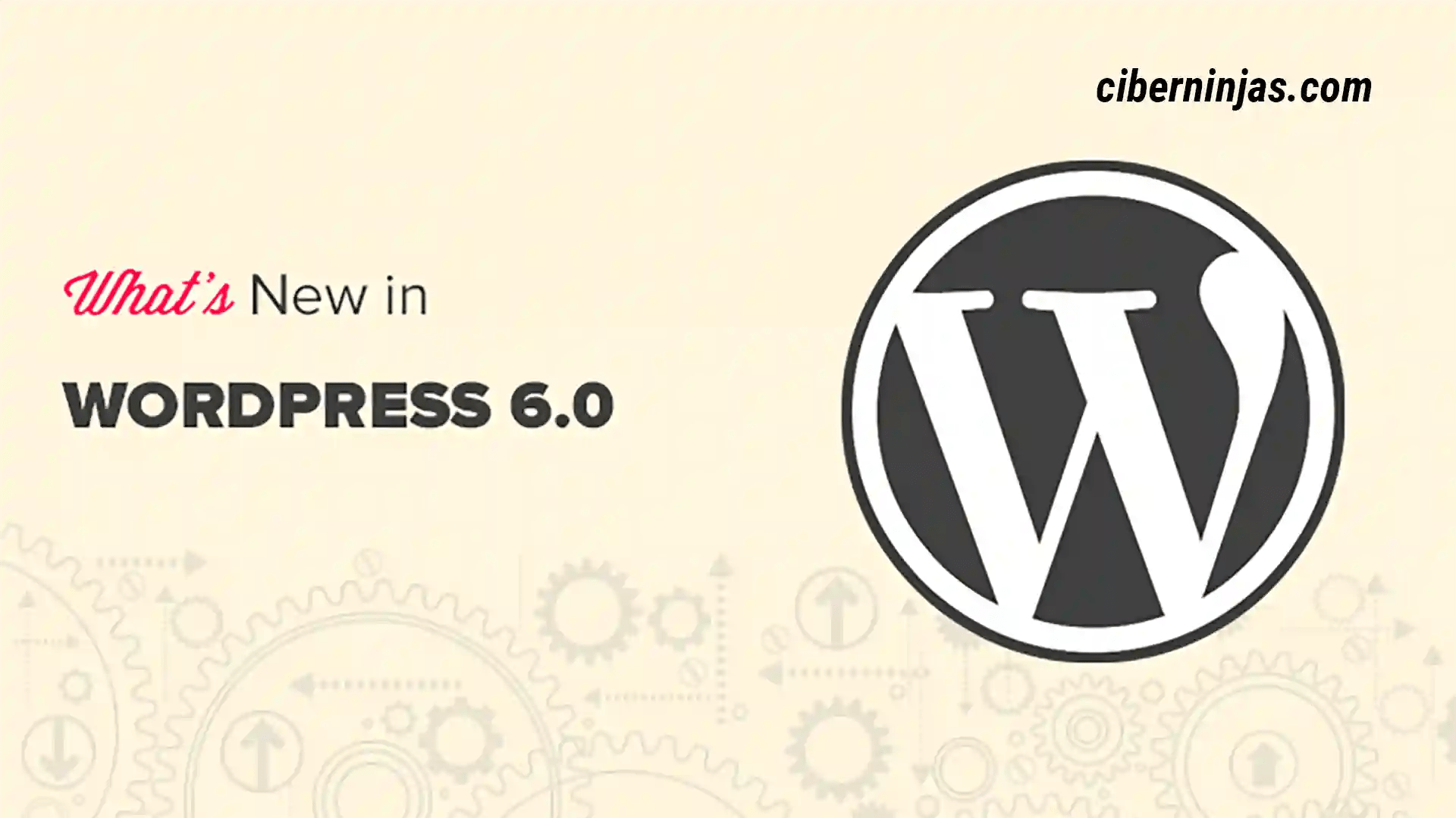 Новой wordpress. Wordpress 6.4.3–ru_ru.