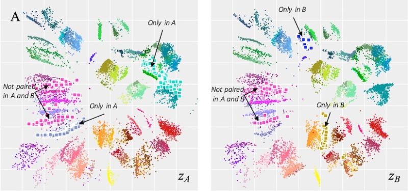 Github Sipba Coupled Dis Vae Code For Reproducibility Of Paper - Stunning Desktop Vintage Illustrations | Free Download