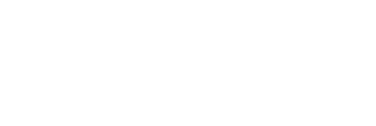 CICADA RISING