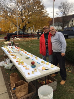 CiderDays Apple Table