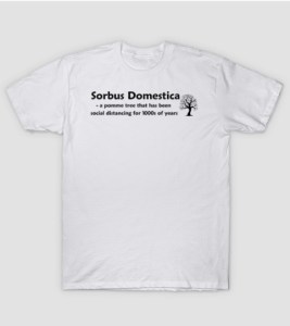 Sorbus Domestica -t shirt at Cider Chat Teepublic Store