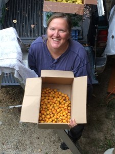 Ria making cider with Golden Hornets