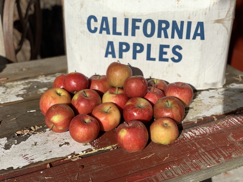 Apples from Sycamore Ranch Winery & Cidery displayed in front of a California Apples box.