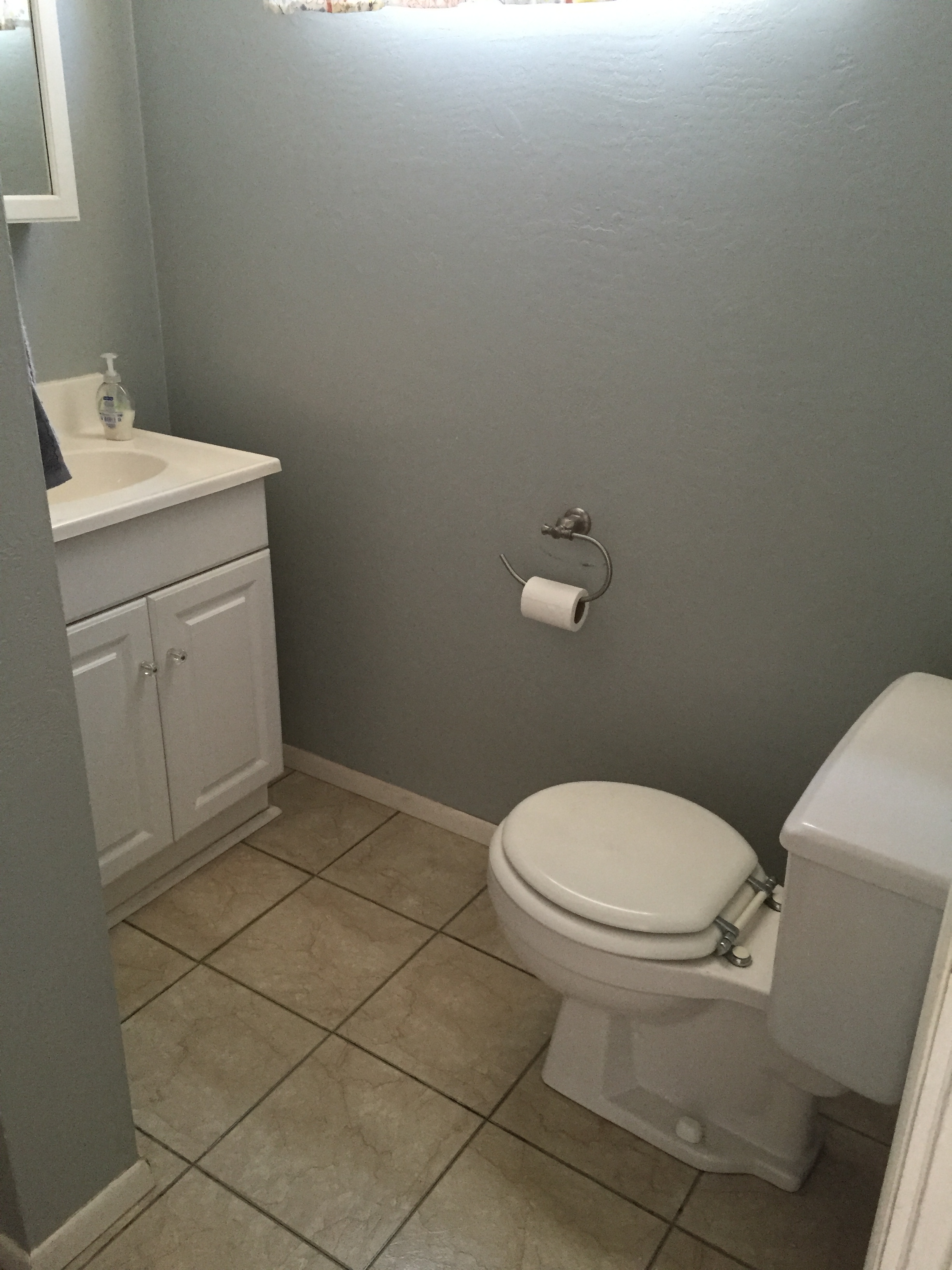 existing toilet area