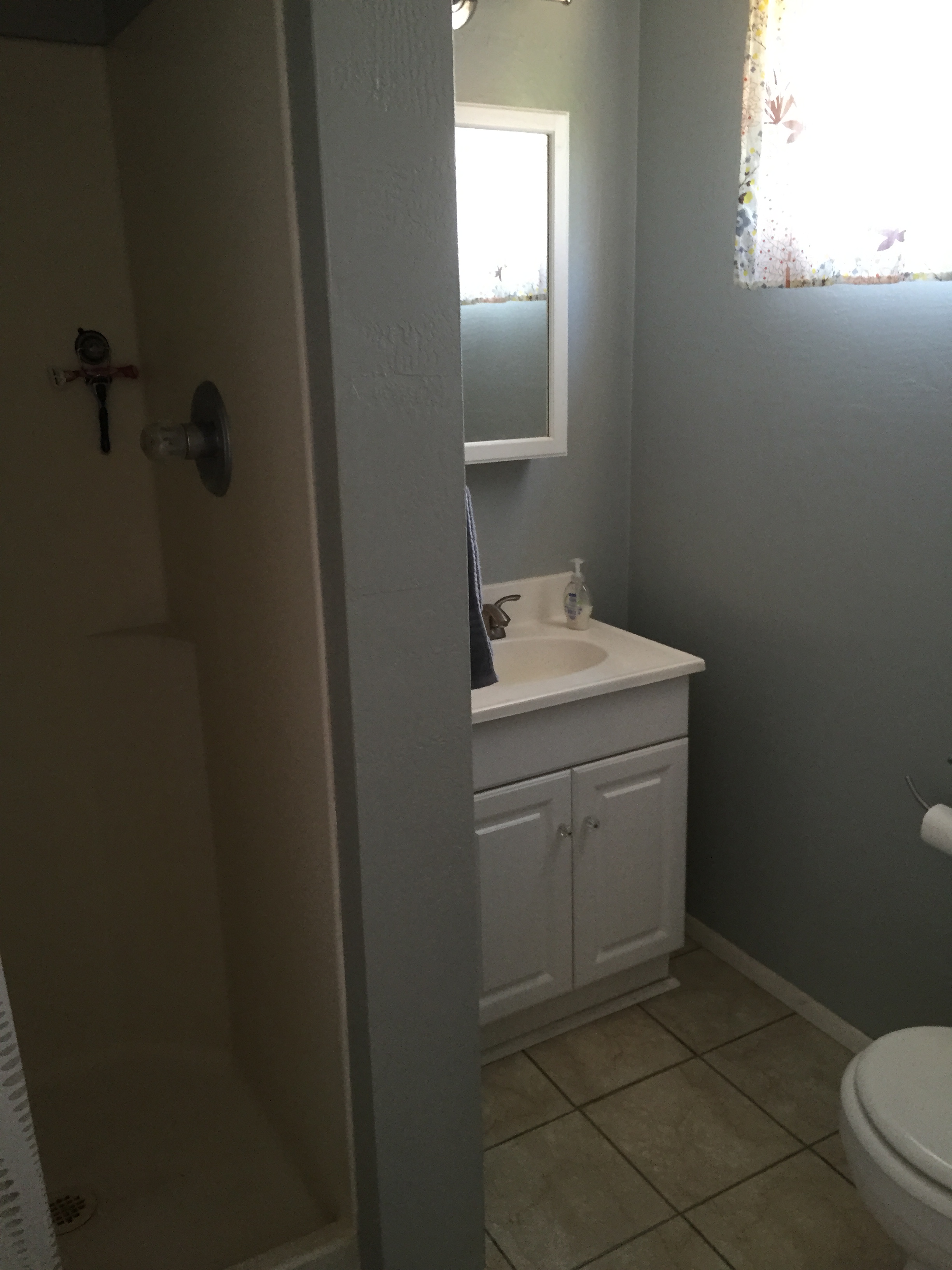 existing vanity