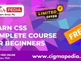 Learn Css Complete Course For Beginners Free Udemy Course Cigma Pedia