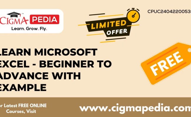 Learn Microsoft Excel - Beginner To Advance With Example (Free Udemy ...