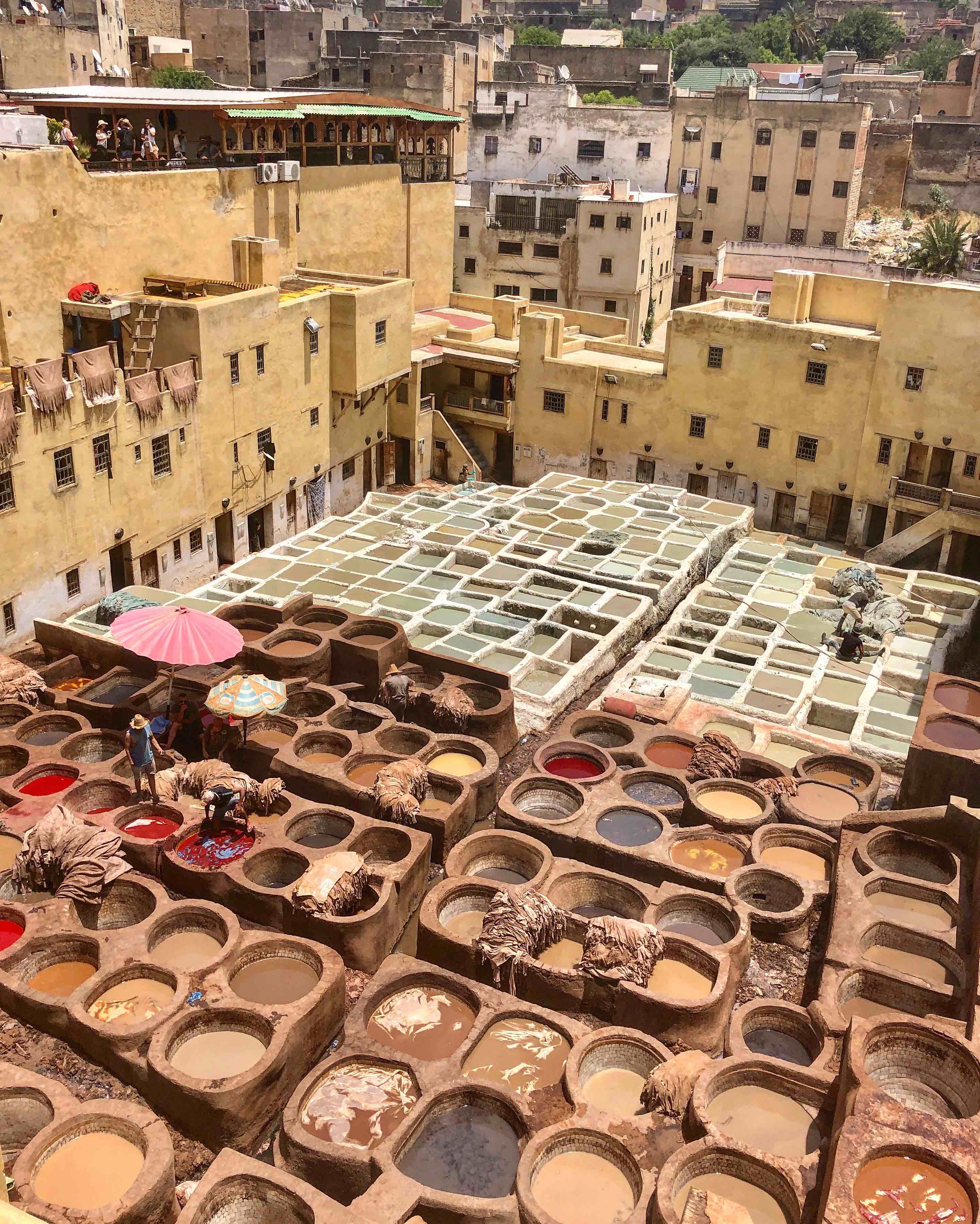 Fez tannery